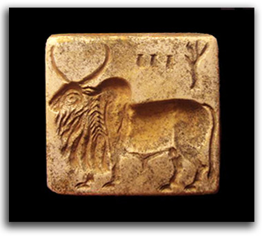 Image of Indus Valley seal.